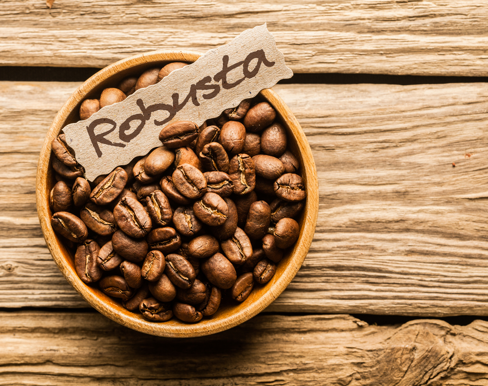 robusta-coffee