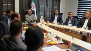 «طرح پایش فعالیت بدنی ایرانیان» در دستور کار شورای راهبردی ورزش همگانی